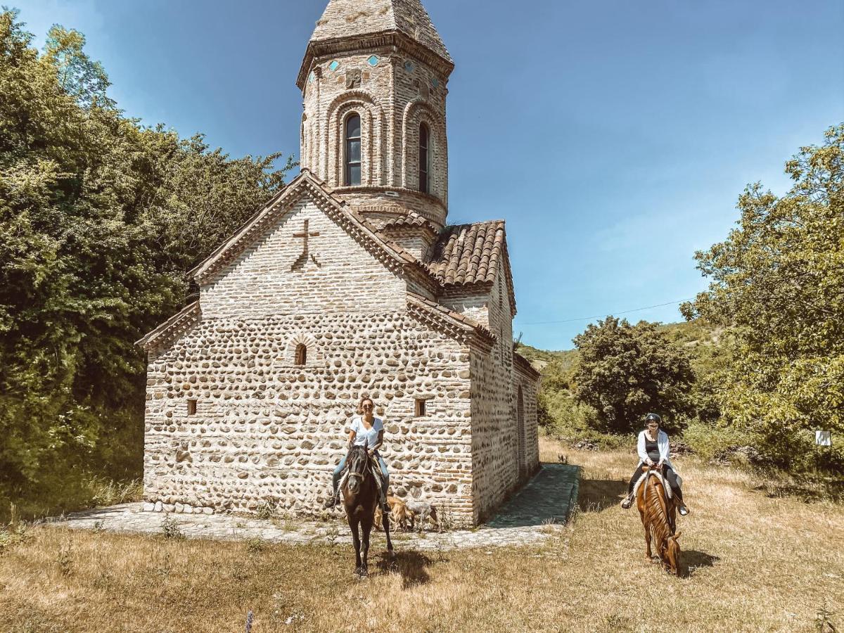 Lost Ridge Inn, Brewery & Ranch Signagi Buitenkant foto
