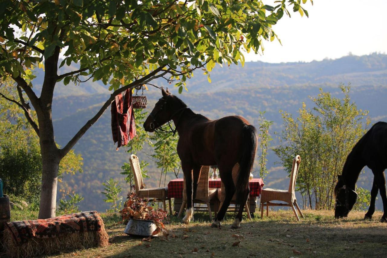 Lost Ridge Inn, Brewery & Ranch Signagi Buitenkant foto